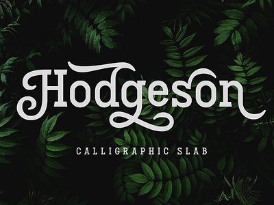 Hodgeson branding calligraphic slab serif calligraphy font calligraphy fonts editorial font football logo logo fonts magazine old school retro fonts script serif font slab font slab serif slab serif font typography vintage font vintage fonts