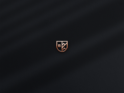 Brand Identity for Bertoglio Lawyers brandidentity branding design graphic design illustration justice law lawyer logo