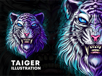 TAIGER ILLUSTRATION