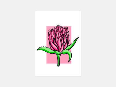 Exotic Flower color colors design green illustration illustration art illustration digital illustrator pink vector