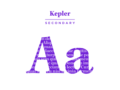 Kepler branding serif typography