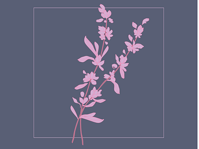 Little Brittons Lavender book branding cbd editorial illustration lavender purple