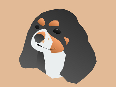 King Charles Cavalier Illustration