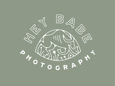 Hey Babe Photography 1 adventure animal babe branding emblem floral flowers hiking lockup logo minnesota nature ox photography sage seal