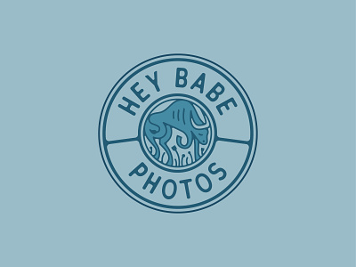 Hey Babe Photography 2 babe branding circle emblem field flowers hiking logo minnesota ox photographer photography photos seal stamp