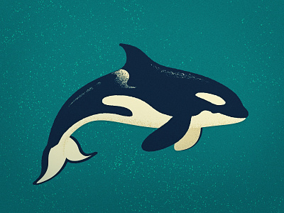 Orca