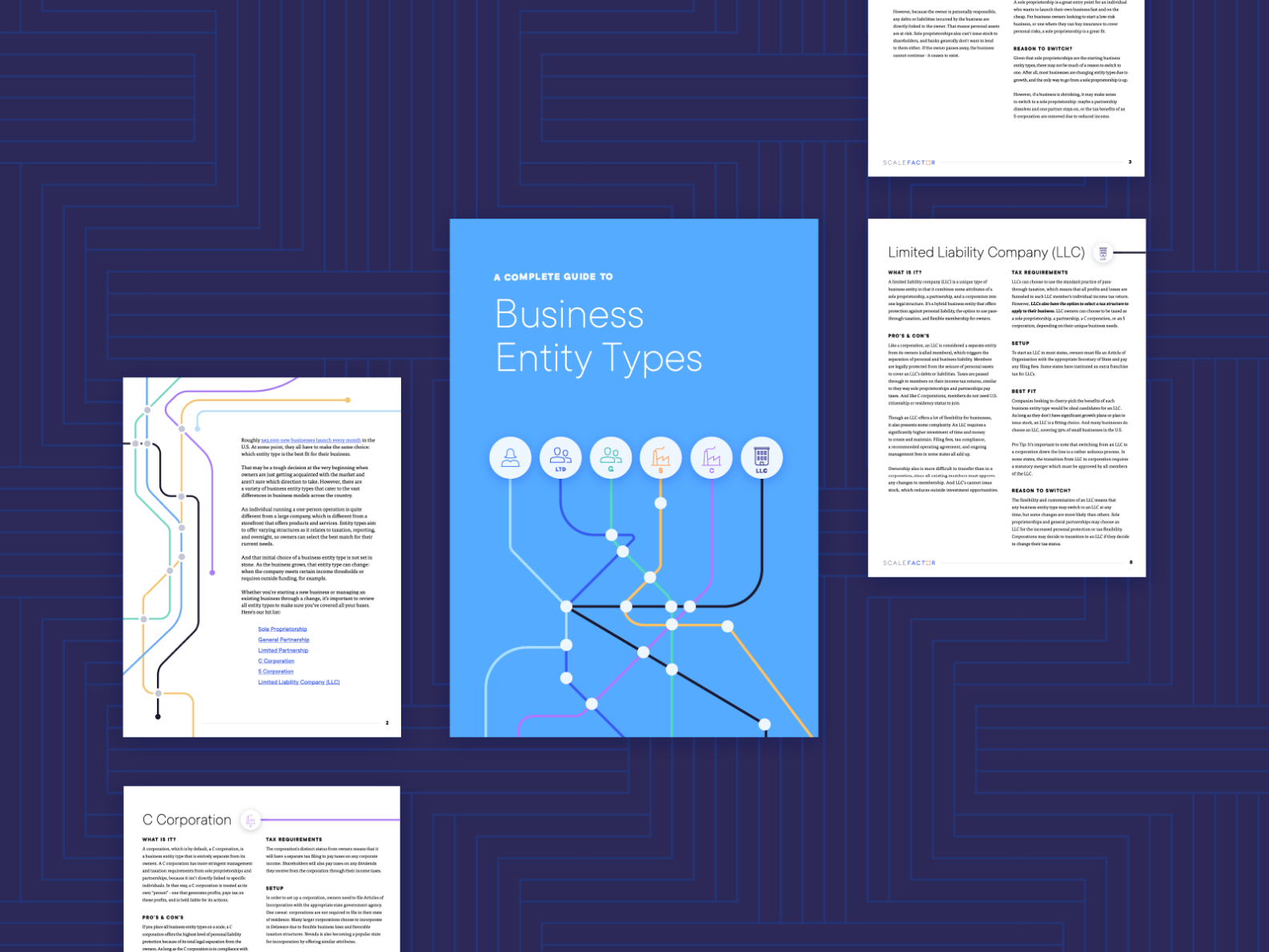 business-entity-types-by-lin-zagorski-latimer-on-dribbble