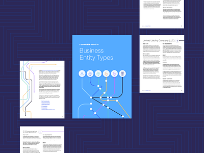Business Entity Types business ebook ebook cover ebook design finance layout