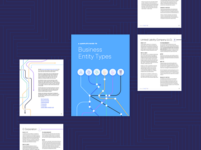 Business Entity Types