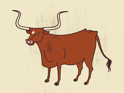 Longhorn austin bevo bovine cow longhorn steer texas
