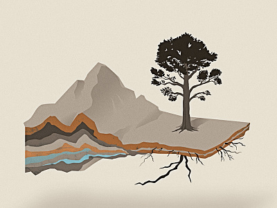 Growth crust diagram geology mountain realism roots tree