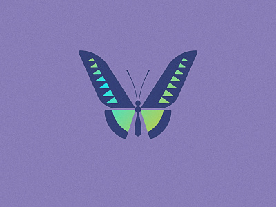 Emerge birdwing butterfly geometric logo
