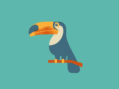 Toucan bird brazil illustration toucan