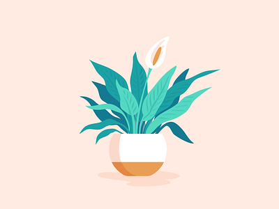 Peace Lily illustration office plant peace lily pink plant plant illustration