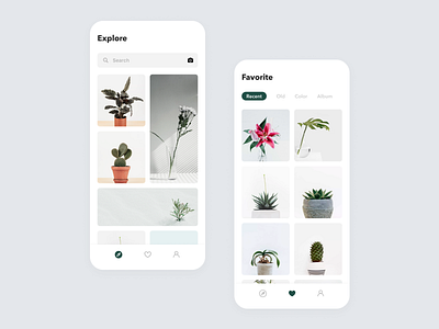 Daily UI Challenge #044 Favorites clean collection cool daily ui design explore favorite favorites feed gallery gray green nature photo picture plant search simple white