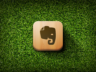Evernote Icon icon wood
