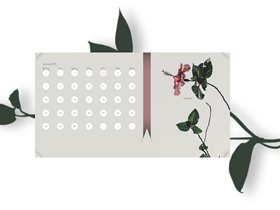 Calendar 2019 calendar flower hibiscus webdesign