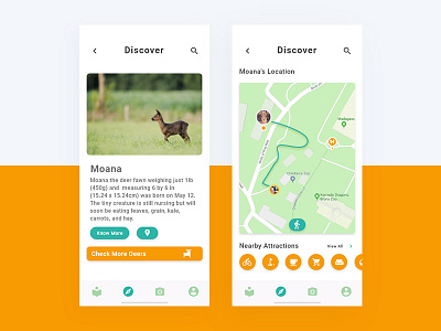 Discover window for an animal park application. android application app design ios app ui ui design user experience user interface ux