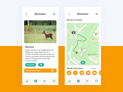 Discover window for an animal park application.