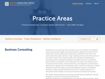 Bloom Consulting Group b2b blue clean flat orange website