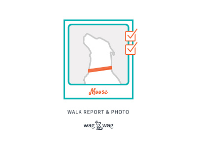 WagWag Walk Report & Photo blue check checklist dog feature gray orange photo small business turquoise value wagwag