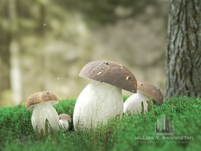 A Day In The Life of Porcini Mushrooms 3d art blender 3d forest haircap moss magical forest moss mushrooms nature scene porcini mushrooms