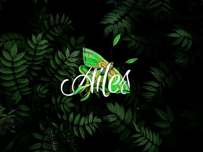 Ailes (Wings) ailes butterfly cover free green leaves logo moth nature photomanipulation photoshop wings