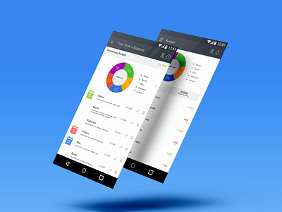 Budget Expense Mobile UI photoshop