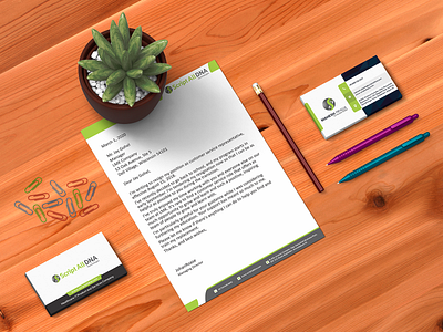 Letterhead and Visiting Card Design adobe illustrator photoshop