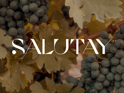 Salutay Wine Club brand branding design icon identity logo visual wine wine club wordmark
