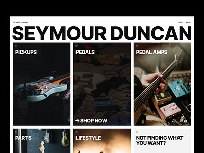 Seymour Duncan - Rebranding Concept Design
