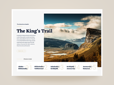 The Trail concept design web design webdesign