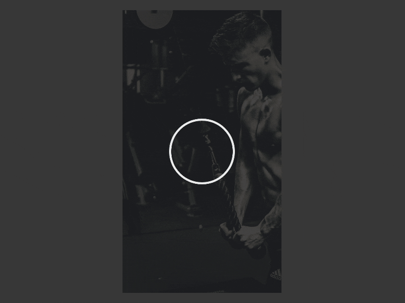 Gif export