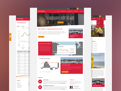 BBL Company website clean flat grey interface iwink modern red responsive ui web web design website