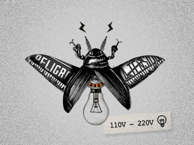 Light bug bicho bug bugs danger electric electricity fauna mecanica lights insecto insects
