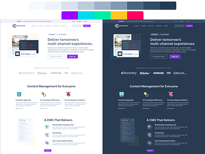 Website color palette exploration