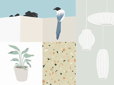 Interior design illustration bird dog graphic design illustration interior pastel plant terrazzo