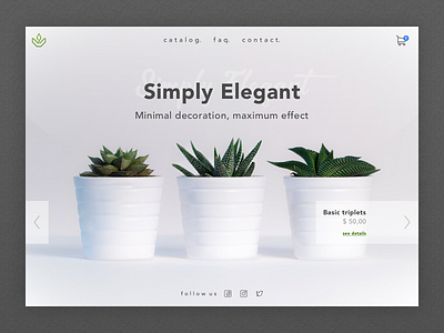 Daily UI 003 - Landing Page 003 cactus dailui landing page ui