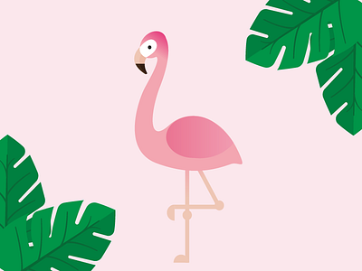 Flamingo flamingo flat design graphic design illustration illustrator summer vector