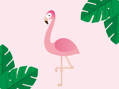 Flamingo