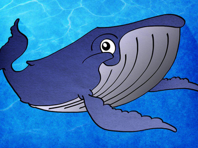 Whale design sketch texture