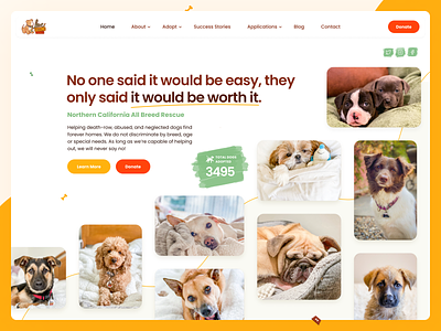 Love & Second Chances adopt branding california charity design dogs foster homepage landing page love rescue typography ui us ux volunteering web design web design webdesign