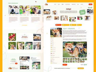 Love & Second Chances adopt adoptables application branding california design dogs form foster gallery green landing page listing rescue share typography ui ux webdesign yellow