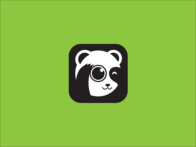 Camera Panda