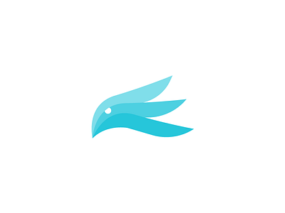 Hawkr abstract animal bird falcon flat logo minimalst modern vector