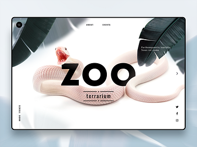 Zoo Page Concept