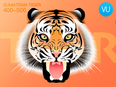 endangered animal-tiger animal art branding design flat illustration illustrator picture poster typography ui vector