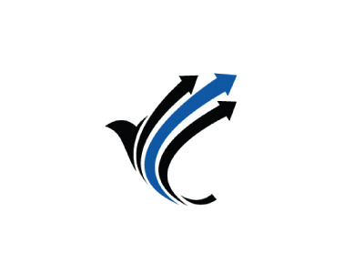 Bird Logo ICON