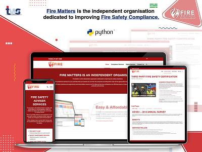 Fire Matter Website Development color combination design ui ui design website