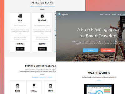 Tripflock - Travel Business Web App creative flat home page icon landing page logo design travel business app ui design web app web design website